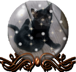 A funny transparent gif of a small black cat with a bunch of sparkles.